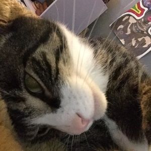 Meet your Posher, Selena